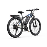 DUOTTS C29L Electric Bike 2x batteries