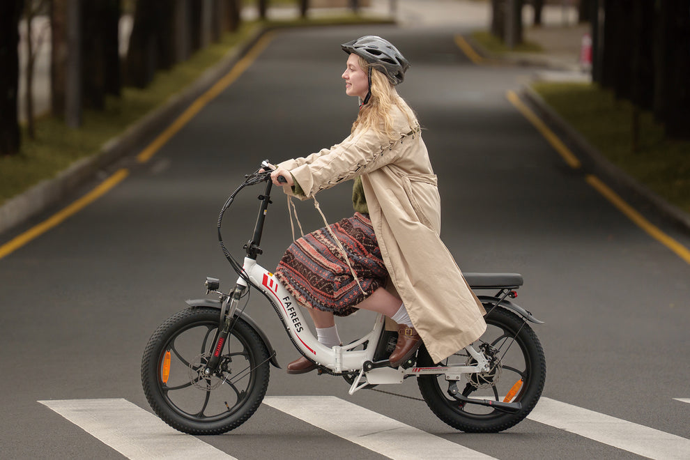 FAFREES F20 Electric Bike