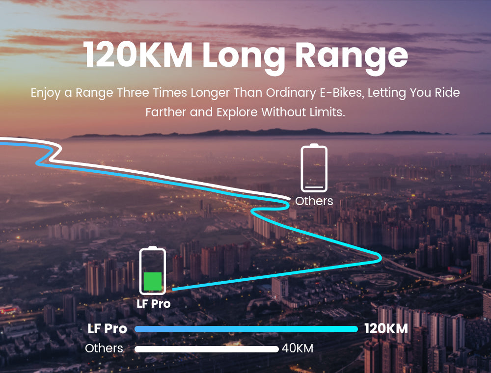 Rattan LF Pro Electric Bike 250W