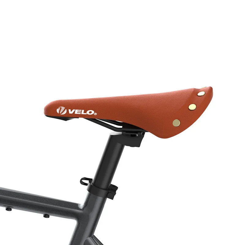 Fafrees F700M Electric Bike 100km