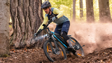 VARUN M27-1 Electric Bike 250W