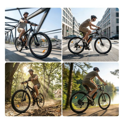 Touroll U2 Pro Electric Bike, 750W Peak Motor, 48V 15Ah