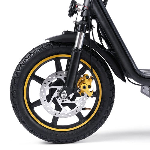 TWOFISH M5 Elite-E Electric Scooter