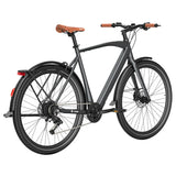 Fafrees F700M Electric Bike 100km