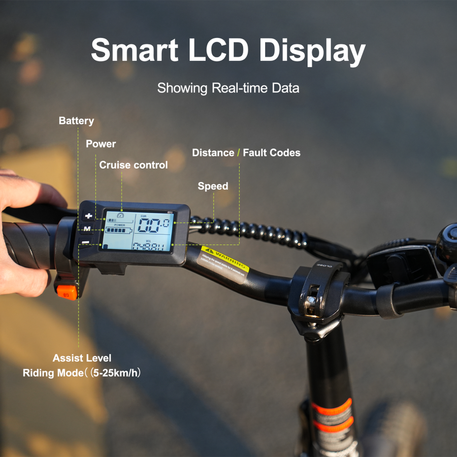 AVDL A10 Electric Bike 250W