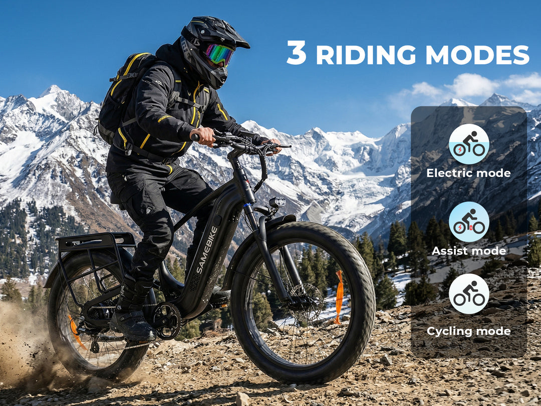 SAMEBIKE STORM 1000W Fat Tire Mountain E-Bike