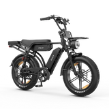PIXAR® M9 Retro Electric Bike 2× 48 V17.5Ah