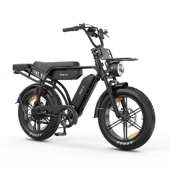 PIXAR® M9 Retro Electric Bike 2× 48 V17.5Ah