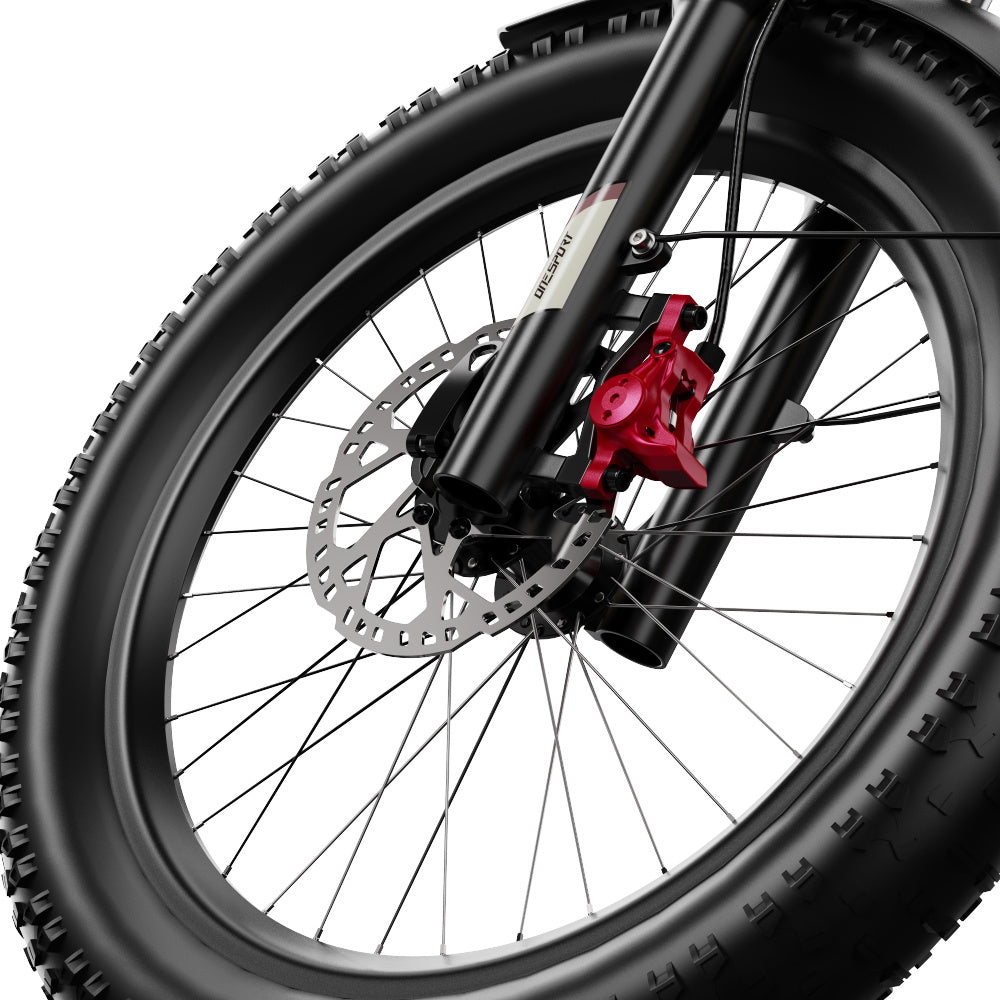 Onesport OT30 Pro Electric Bike