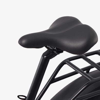 Rattan LF Pro Electric Bike 250W