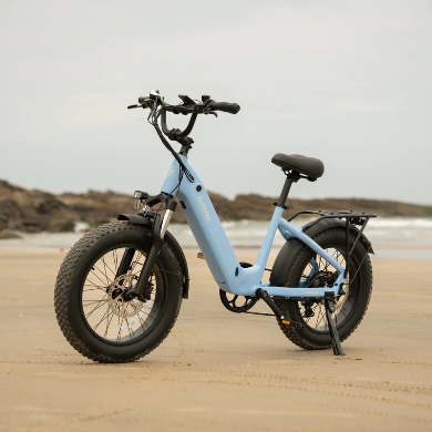 FAFREES F20 Rover Electric Bike 250W