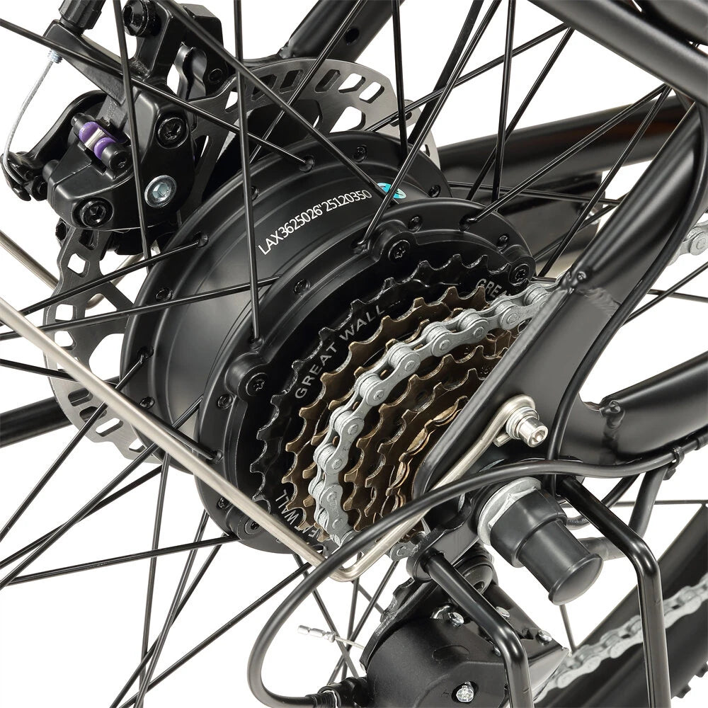 SINOHON EM300 Electric Bike 36V 15Ah 250W