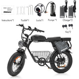 Hidoes B9 Electric Bike, 750W Motor, 48V 18.2Ah+15.6Ah Dual Battery