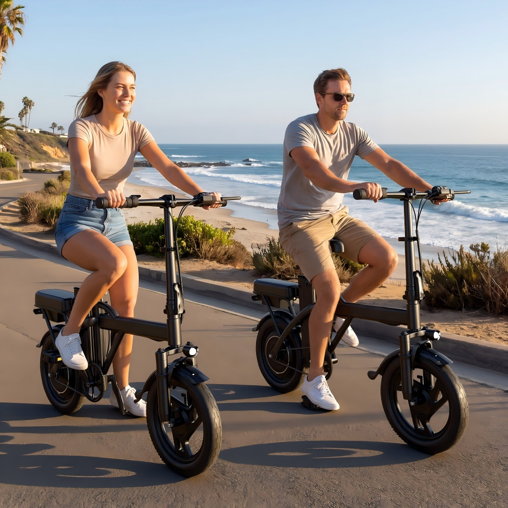 AOVOPRO X14 Electric Bike 9Ah
