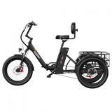 ONESPORT OT30 PRO Three-Wheel Electric Bike