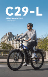 DUOTTS C29L Electric Bike 2x batteries