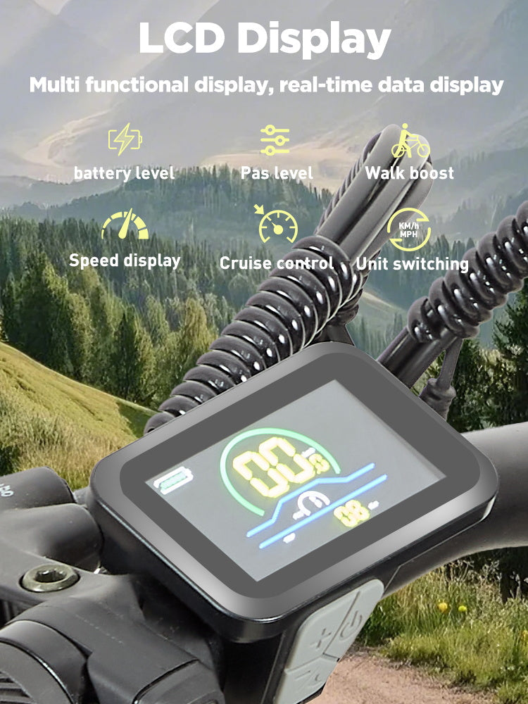 Burchda RX02 Electric Bike 1000W