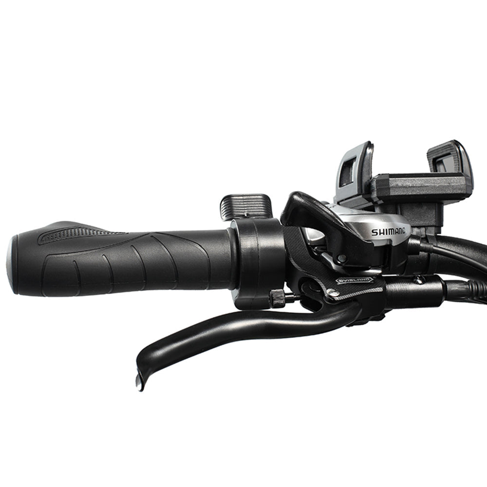 PHILODO H7Pro All-Terrain Electric Bike 1000W