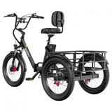 ONESPORT OT30 PRO Three-Wheel Electric Bike