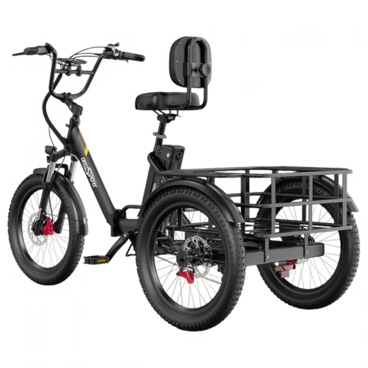 ONESPORT OT30 PRO Three-Wheel Electric Bike