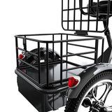 Cysum T1 Pro Electric Tricycle, 250W Motor, 48V 22Ah