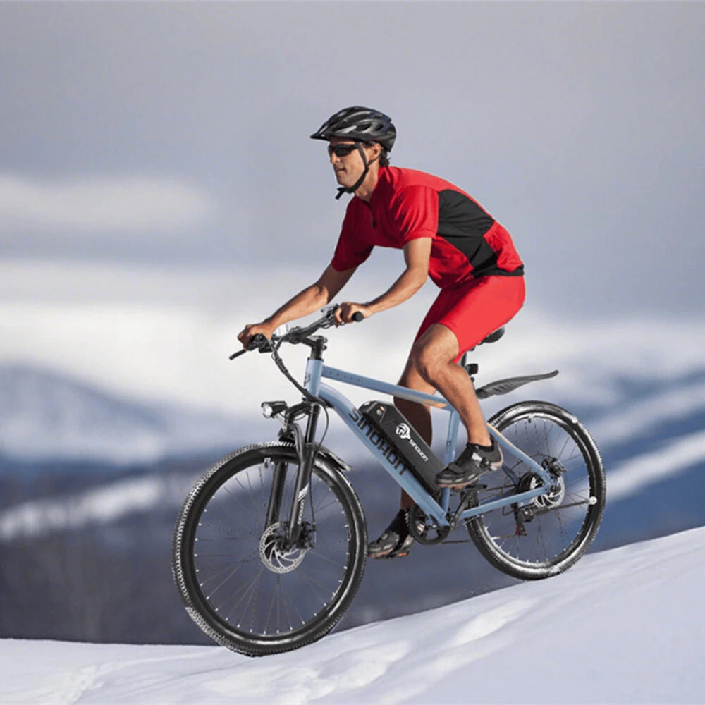 SINOHON EM200D Electric Bike 36V 10.4AH motor 500W