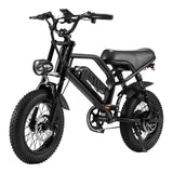 AVDL A13 Electric Bike 250W