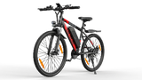 VARUN M27-1 Electric Bike 250W