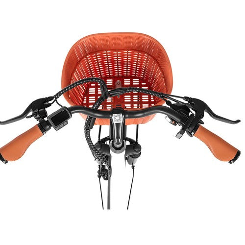 DYU C6 Pro Electric Bike, 250W Motor, 36V 15.6Ah