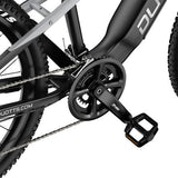 DUOTTS E29 Electric Bike, 250W Motor, 48V 13.5Ah Battery, 27.5 inch