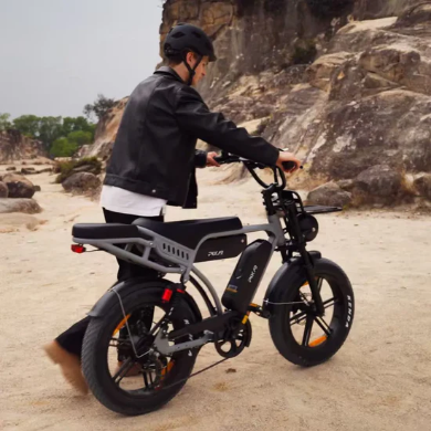 PIXAR® M9 Retro Electric Bike 2× 48 V17.5Ah