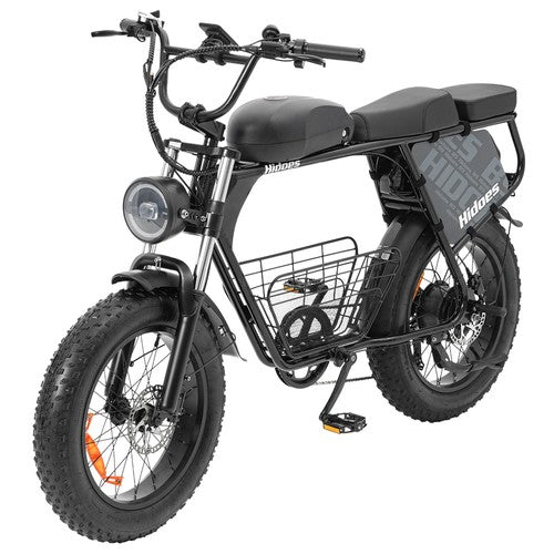 Hidoes B9 Electric Bike, 750W Motor, 48V 18.2Ah+15.6Ah Dual Battery