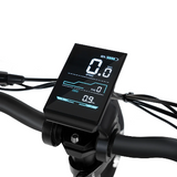 Rattan LF Pro Electric Bike 250W