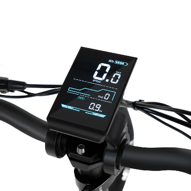 Rattan LF Pro Electric Bike 250W