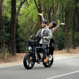 PIXAR® M9 Retro Electric Bike 2× 48 V17.5Ah