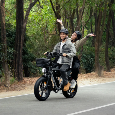 PIXAR® M9 Retro Electric Bike 2× 48 V17.5Ah