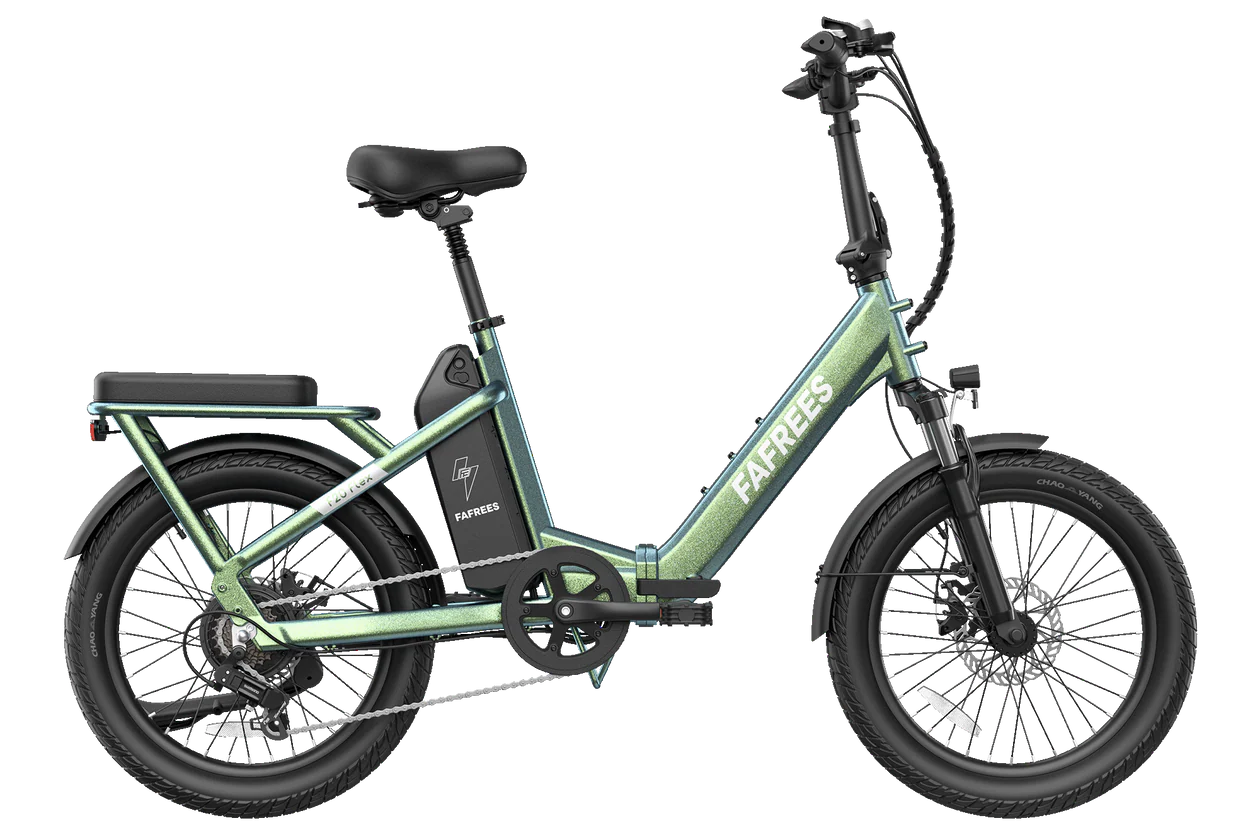 Fafrees F20 Flex Electric Bike 36V 25Ah