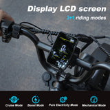 AVDL A13 Electric Bike 250W
