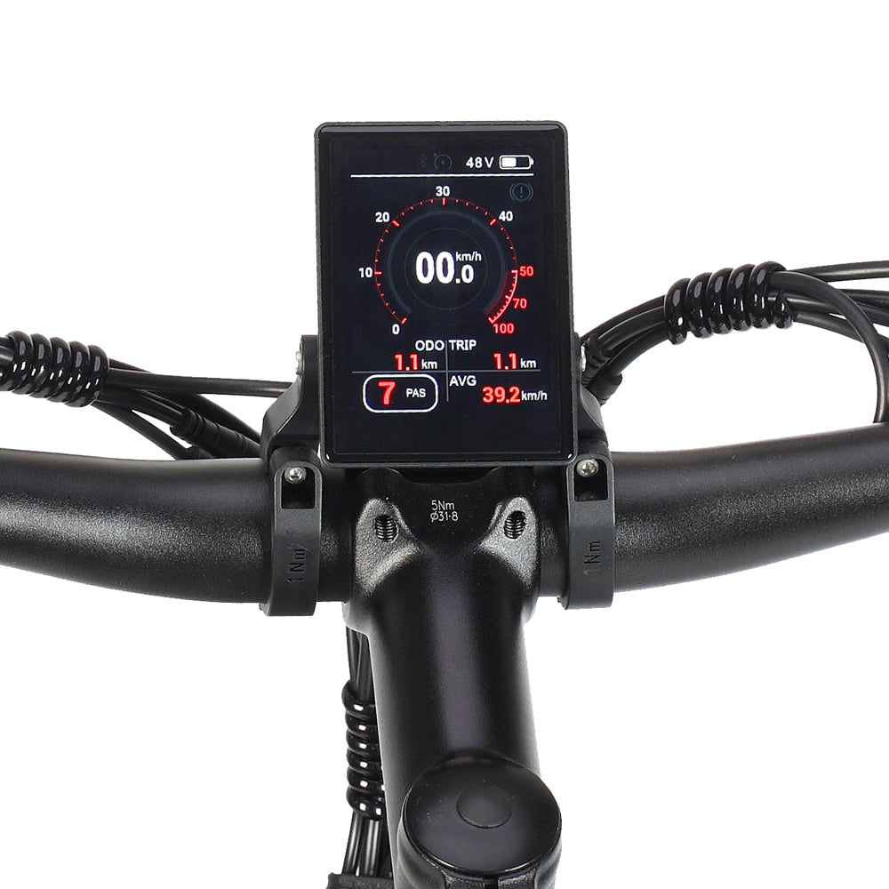 PHILODO Jumbo Dual Motor Dual Battery Full Suspension Electric Bike
