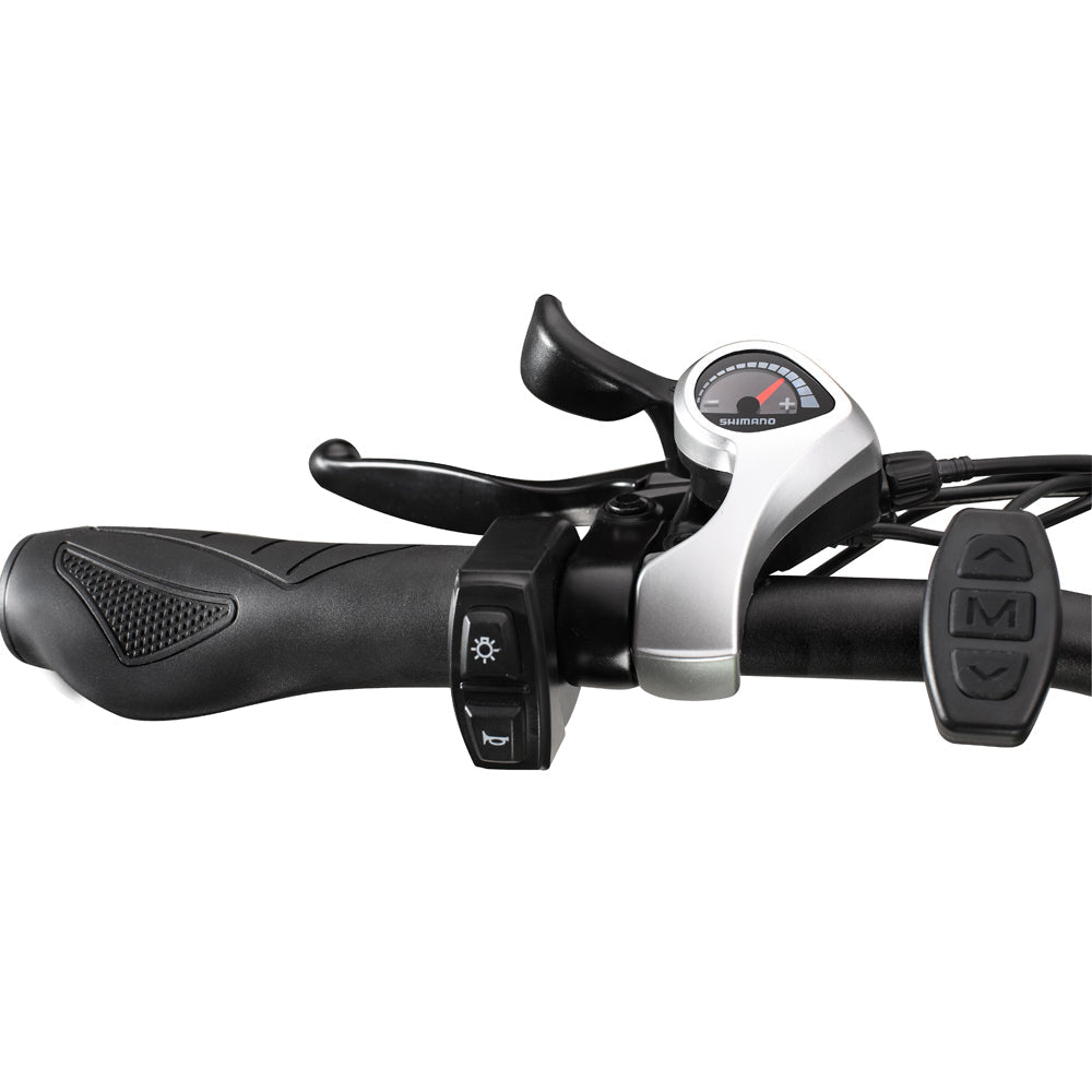 PHILODO H7Pro All-Terrain Electric Bike 1000W