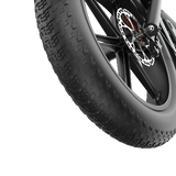 PIXAR® M9 Retro Electric Bike 2× 48 V17.5Ah
