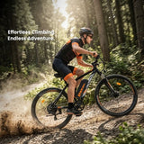 Touroll U2 Pro Electric Bike, 750W Peak Motor, 48V 15Ah