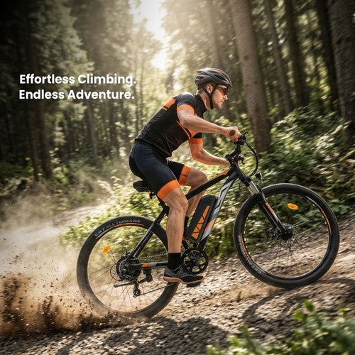 Touroll U2 Pro Electric Bike, 750W Peak Motor, 48V 15Ah