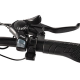 KAISDA K201 3.0 Electric Bike 36V/20.8Ah