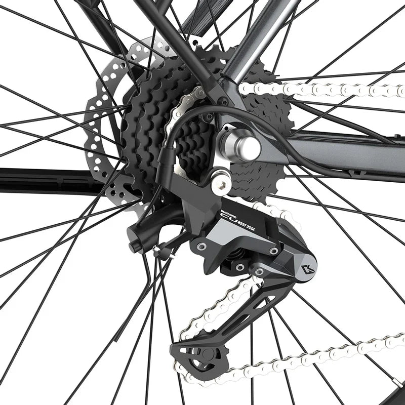 Fafrees F700W Electric Bike 100Km