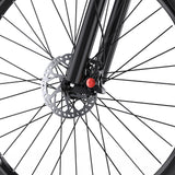DUOTTS C29L Electric Bike 2x batteries