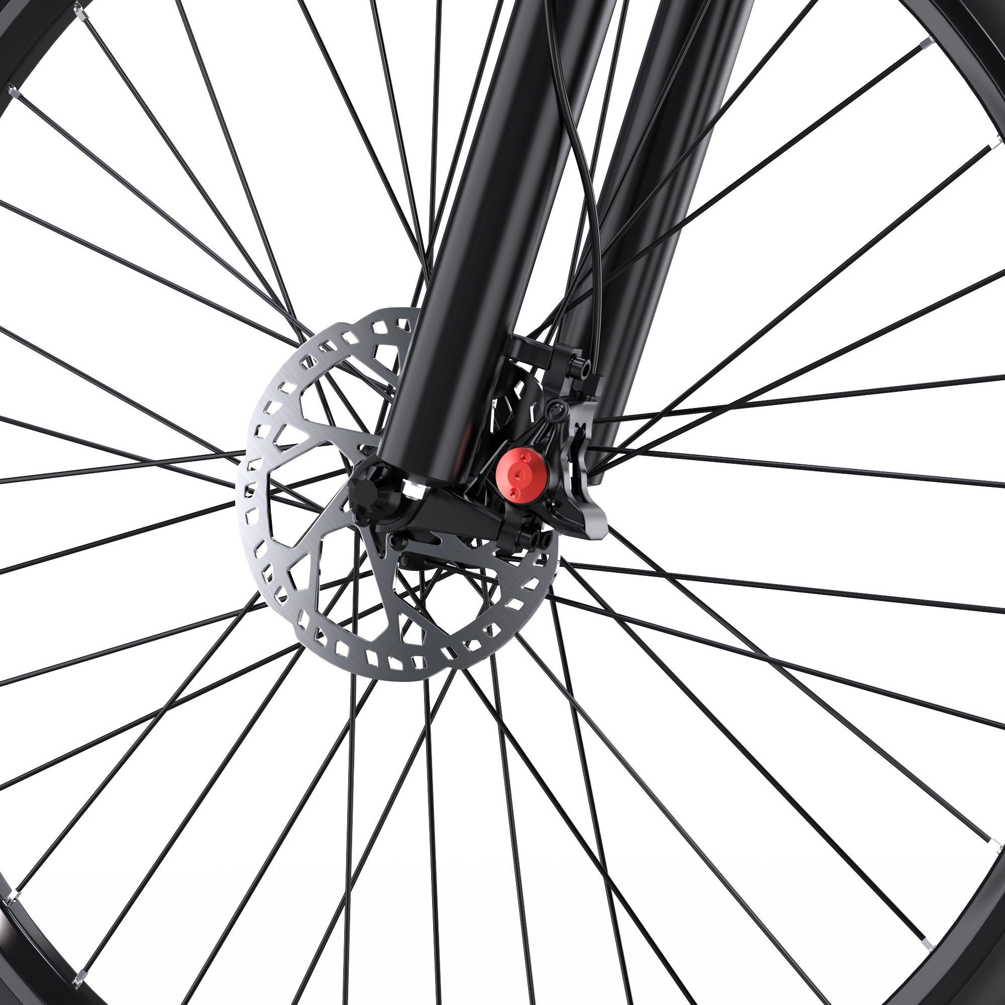 DUOTTS C29L Electric Bike