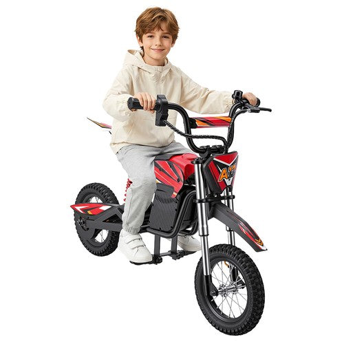 iScooter A12 Kids Electric Dirt Bike 300W