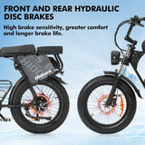 Hidoes B9 Electric Bike, 750W Motor, 48V 18.2Ah+15.6Ah Dual Battery