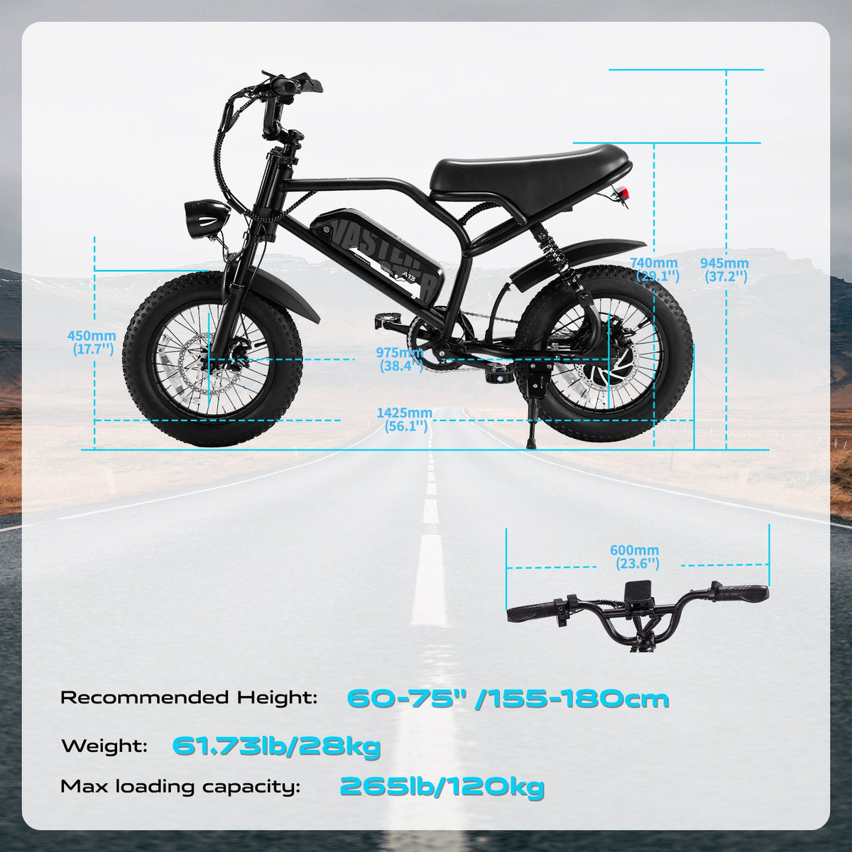 AVDL A13 Electric Bike 250W